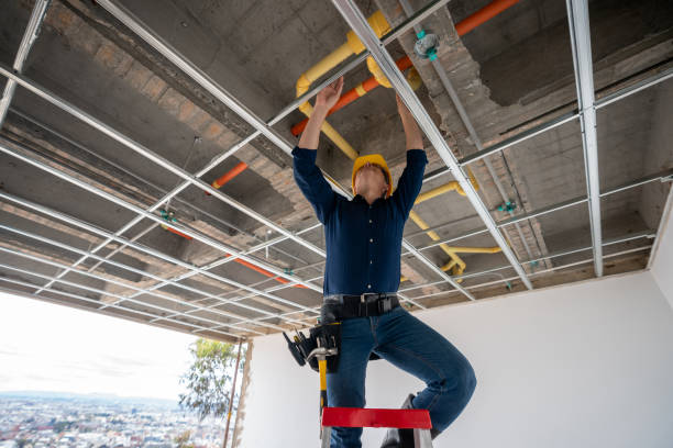 Best Local Plumber Services  in Hernando, FL