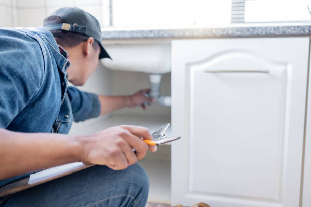 Best Affordable Plumber Near Me  in Hernando, FL